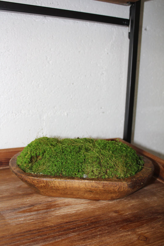 Moss Dough Bowl